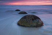 Moeraki boulders #9