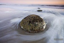 Moeraki boulders #13