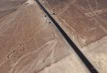 Восстановленная ящерица в версии AirPano №1 Восстановленная ящерица в версии AirPano №1