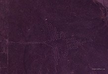 Колибри на закате №5 Колибри на закате №5