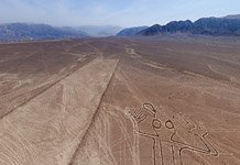 Восстановленная ящерица в версии AirPano №2 Восстановленная ящерица в версии AirPano №2