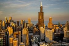 Chicago in golden hour 2