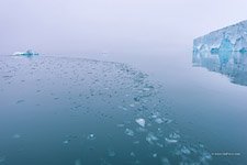 Воды Северного Ледовитого океана