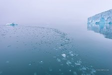 Воды Северного Ледовитого океана Воды Северного Ледовитого океана