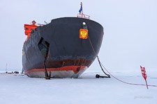 Атомный ледокол «50 лет Победы» №12