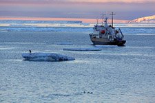 Экспедиционное судно Polar Pioneer №8