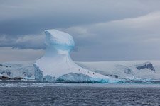 Penguins in Antarctica #9