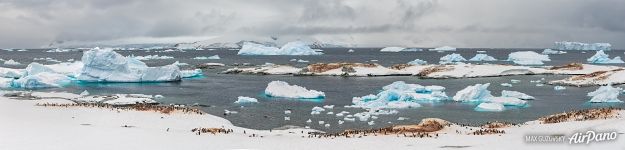 Пингвины в Антарктиде