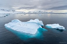 Пингвины в Антарктиде №40 Пингвины в Антарктиде №40