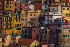 Manarola