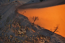 Пустыня Намиб №2