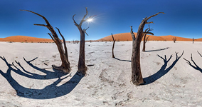 Среди деревьев Мертвого Озера