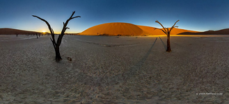 Окаменевшие деревья в Мертвой долине (Deadvlei)