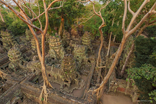 Храм Та-Пром, Ангкор, Камбоджа №3