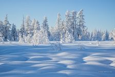 Камчатка зимой