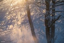 Зима на реке Пехорка, Московская Область
