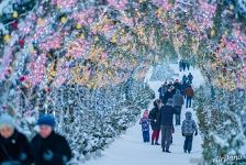 Новогодняя Москва Новогодняя Москва