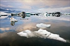Жизнь во льдах, ледниковая лагуна Йокульсарлон, Исландия