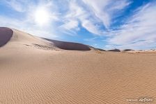 Хонгорын Элс Хонгорын Элс