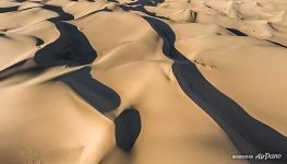 Хонгорын Элс Хонгорын Элс