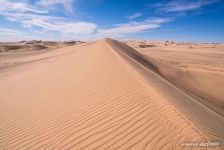 Khongoryn Els sand dunes