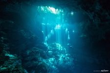 В сенотах Мексики В сенотах Мексики
