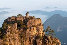 Каменная обезьяна вглядывается в море облаков Каменная обезьяна вглядывается в море облаков