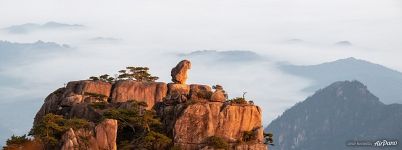 Каменная обезьяна вглядывается в море облаков Каменная обезьяна вглядывается в море облаков
