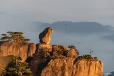 Каменная обезьяна вглядывается в море облаков Каменная обезьяна вглядывается в море облаков
