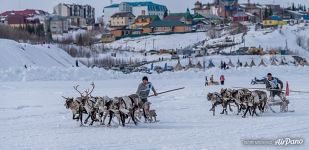 Поселок Аксарка, Обь. День Оленевода Поселок Аксарка, Обь. День Оленевода