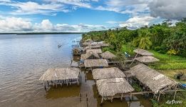 Тростниковые крыши Тростниковые крыши