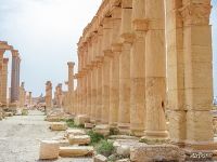 Колонны в древней Пальмире