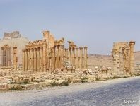 Ruins of Palmyra