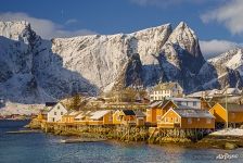 Yellow houses