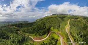 Северо-запад острова Нуку-Хива, сосновый лес, Маркизские острова Северо-запад острова Нуку-Хива, сосновый лес, Маркизские острова