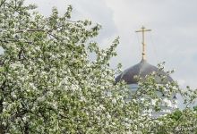 Яблоня и купол церкви Усекновения Главы Иоанна Предтечи в Дьякове Яблоня и купол церкви Усекновения Главы Иоанна Предтечи в Дьякове