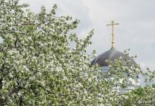 Apple tree and the dome of the Church of the Beheading of John the Baptist in Dyakovo