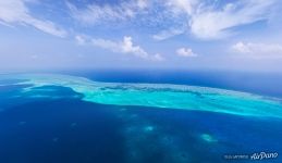 Лаккадивское море Лаккадивское море