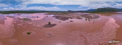 Разливы на озере Богория, Кения Разливы на озере Богория, Кения