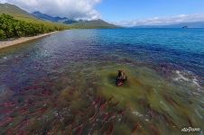 Медвежий край, Курильское озеро, Камчатка