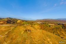 Виноградники Виноградники