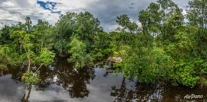 Венесуэла, Дельта реки Ориноко