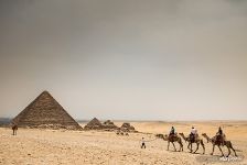 Camels and the pyramids