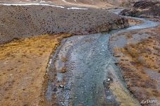 Аргали в долине реки Баян-Чаган