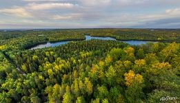 Лес Соловецких островов осенью Лес Соловецких островов осенью
