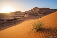Пейзаж Сахары