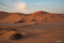 Пейзаж Сахары