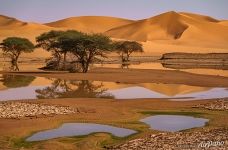 Вода в пустыне Сахара