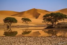 Пустыня Сахара. Отражение
