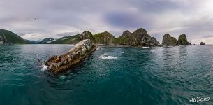 Сивучи на мысе Кекурный Сивучи на мысе Кекурный